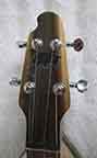 Possum dulcimer headstock